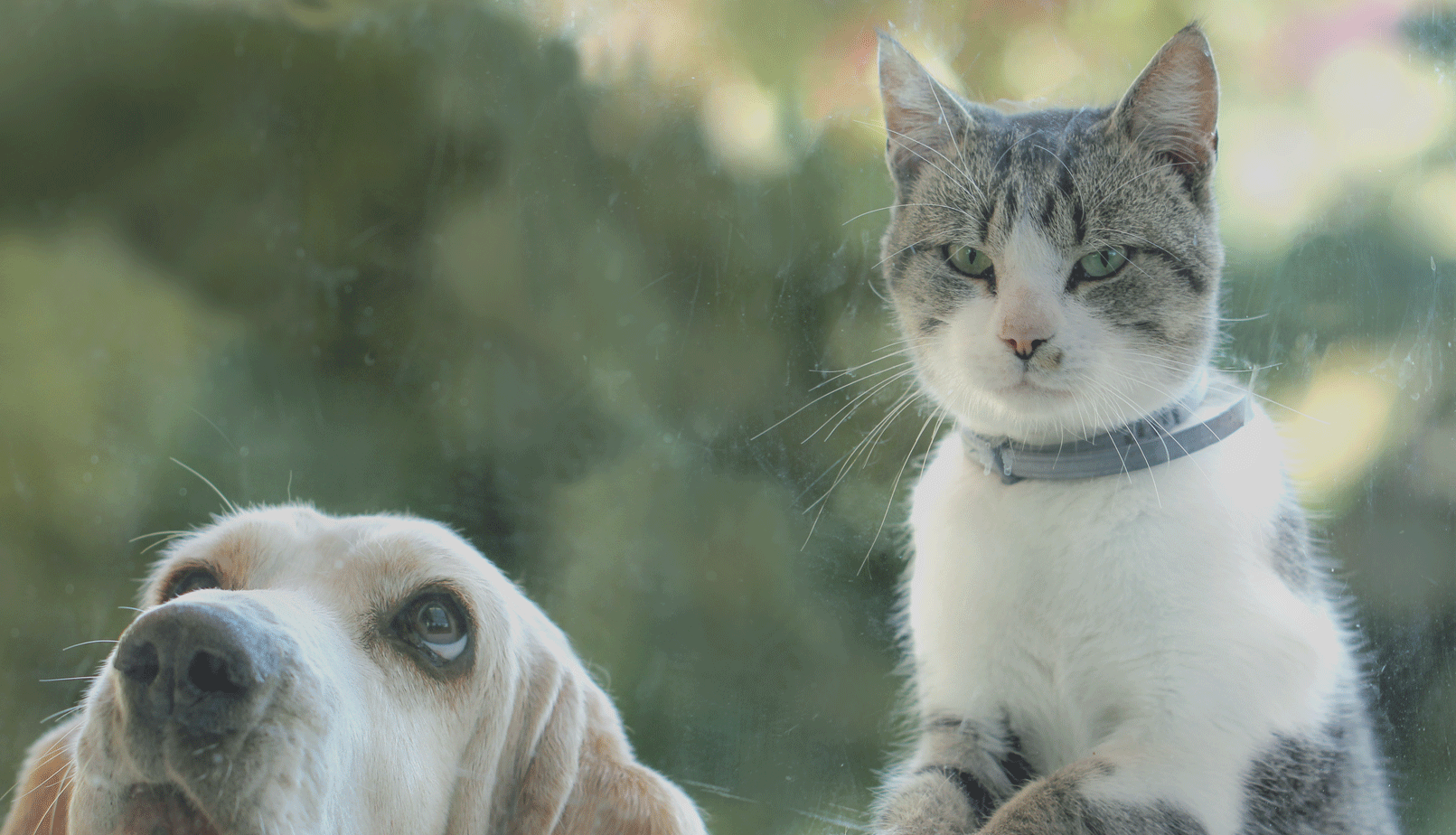 教室イメージ写真