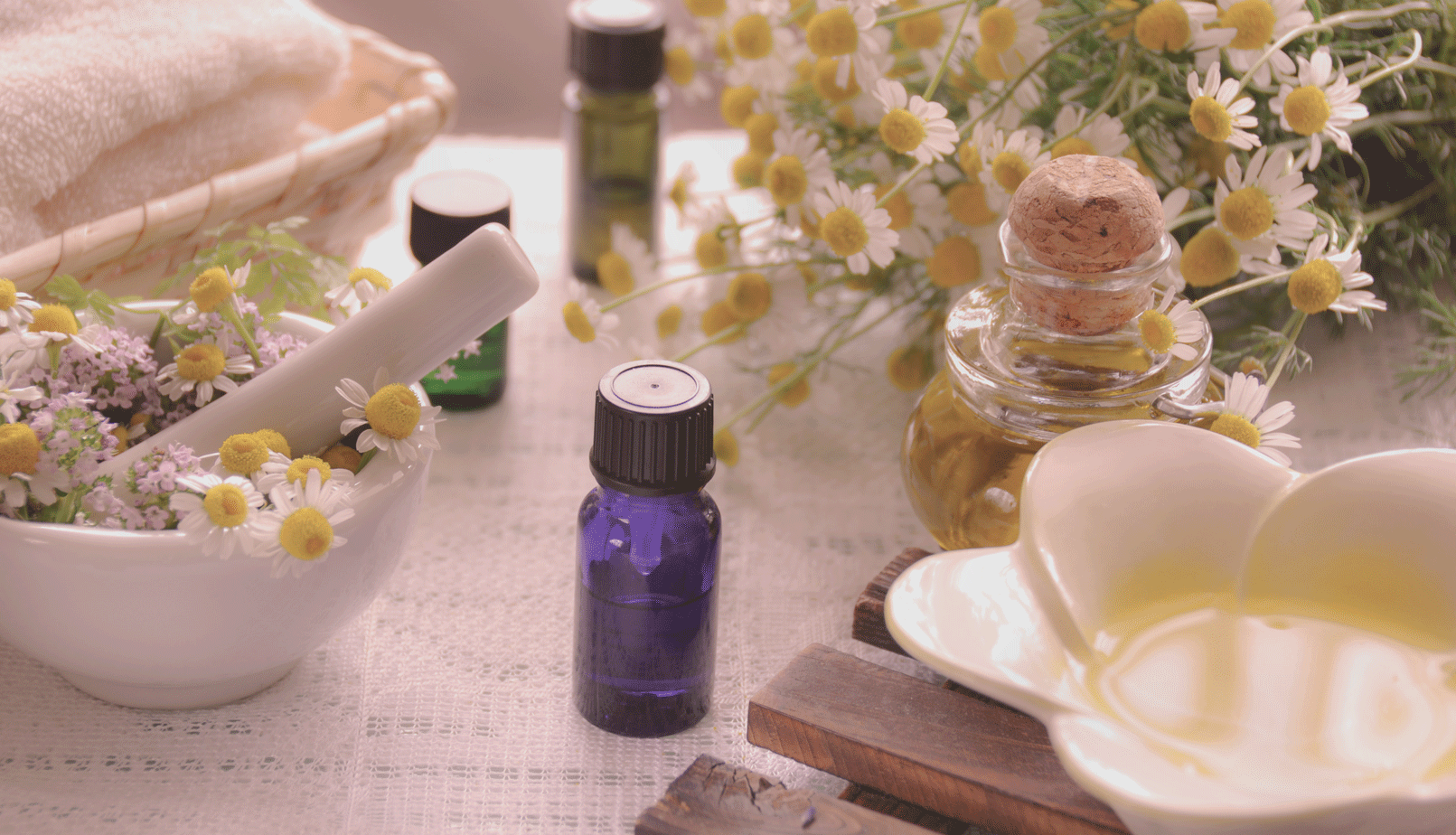 ワークショップイメージ写真