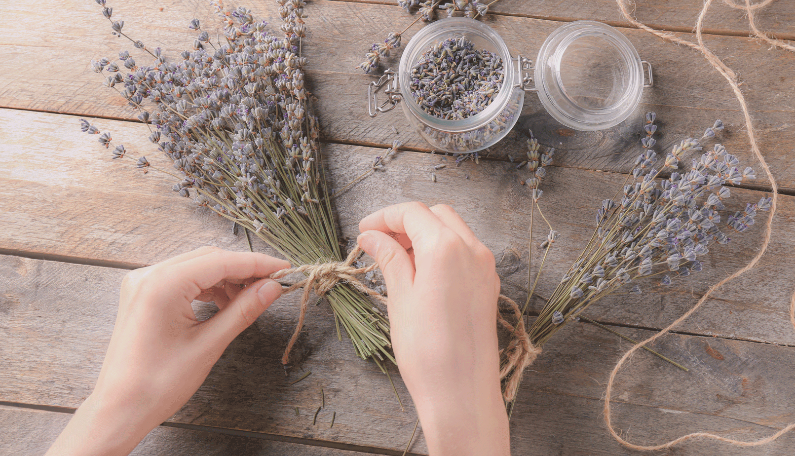 ワークショップイメージ写真